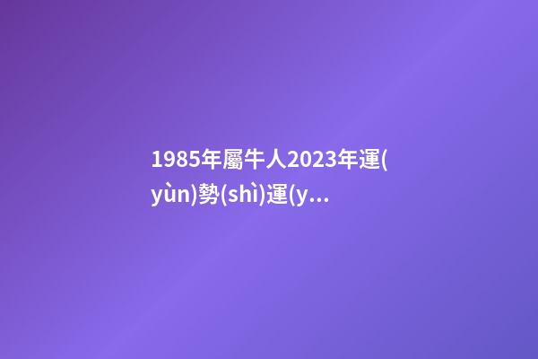 1985年屬牛人2023年運(yùn)勢(shì)運(yùn)程，對(duì)話38歲碩士外賣員受關(guān)注后有人勸我抓住流量-第1張-觀點(diǎn)-玄機(jī)派